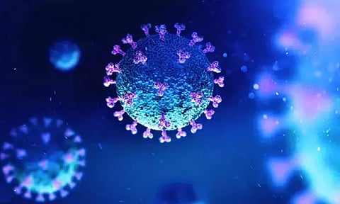 அமெரிக்காவில் அதிக பாதிப்பை ஏற்படுத்திய எக்ஸ்.பி.பி.1.5 புதிய வகை கொரோனா இந்தியாவில் கண்டறியப்பட்டது