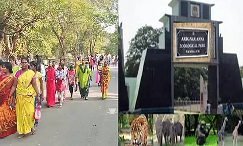 கடந்த 8 நாட்களில் 1 லட்சம் பார்வையாளர்கள் திரண்டனர்; வண்டலூர் பூங்காவில் பொதுமக்கள் கூட்டம் அலைமோதியது