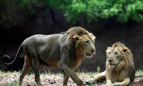 கோப்புப்படம் 