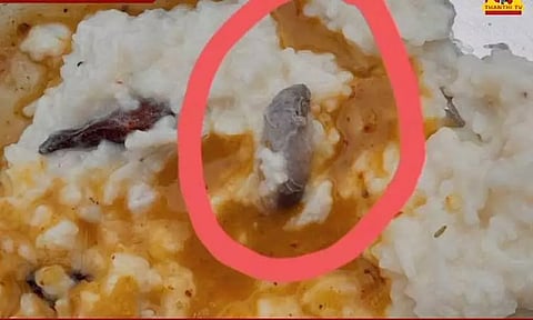 நெய்வேலி : என்எல்சி கேன்டீனில் உணவு சாப்பிட்ட 22 தொழிலாளர்களுக்கு வாந்தி, மயக்கம் - எலி கிடந்ததாக குற்றசாட்டு