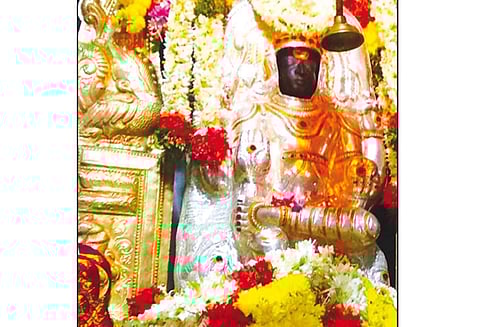 பெரம்பலூர் பிரம்மபுரீசுவரர்- குரும்பலூர் பஞ்சநந்தீஸ்வரர் கோவில்களில் ஆருத்ரா தரிசன விழா