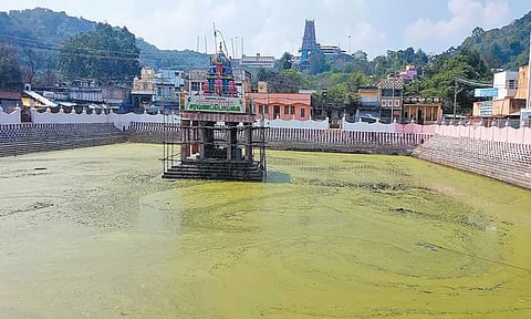திருத்தணி முருகன் கோவிலுக்கு சொந்தமான சரவண பொய்கை குளத்தை சீரமைக்க பக்தர்கள் கோரிக்கை
