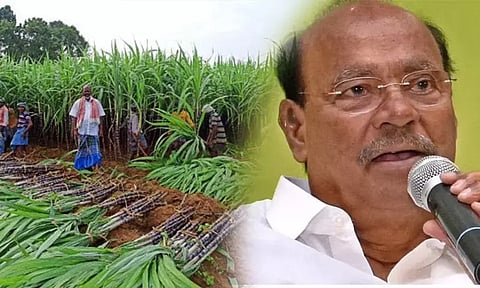 பொங்கல் பரிசு தொகுப்பு: 5 அடிக்கும் கூடுதலாக உயரம் கொண்ட கரும்புகளையும் கொள்முதல் செய்ய வேண்டும் - ராமதாஸ்