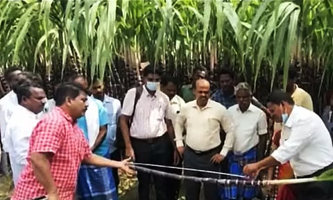 இன்ச் டேப் கொண்டு அளந்து கரும்பு கொள்முதல்....! விவசாயிகள் அதிர்ச்சி