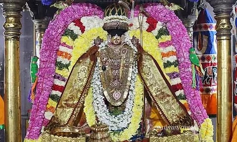 திருவந்திபுரம் தேவநாத சுவாமி கோவிலில் தைலக்காப்பு உற்சவம்