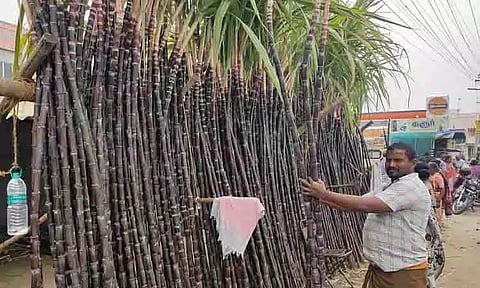 கரூரில், கரும்பு விற்பனை அமோகம்