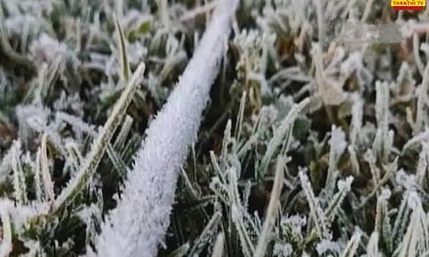 நீலகிரி : உதகையில் நிலவும் உறைபனியால் கடும் குளிர்- பொதுமக்கள் அவதி