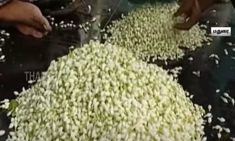 பொங்கலை முன்னிட்டு பூக்கள் விலை உயர்வு - மாட்டுத்தாவணி மலர் சந்தையில் மல்லிப்பூ கிலோ ரூ.2,500-க்கு விற்பனை