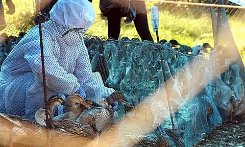 கோப்புப்படம்