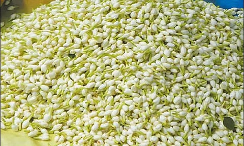 சென்னையில், மல்லிகை பூவின் விலை 'கிடுகிடு' உயர்வு: ஒரு கிலோ ரூ.2,400-க்கு விற்பனை