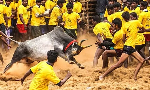 அவனியாபுரம் ஜல்லிக்கட்டு: அனைத்து சமுதாய பிரதிநிதிகள் கொண்ட குழு அமைப்பு...!