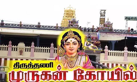 முருகன் கோவிலுக்கு சொந்தமான சரவணப்பொய்கை குளத்தில் 10 அடி நீளமுள்ள மலைப்பாம்பு