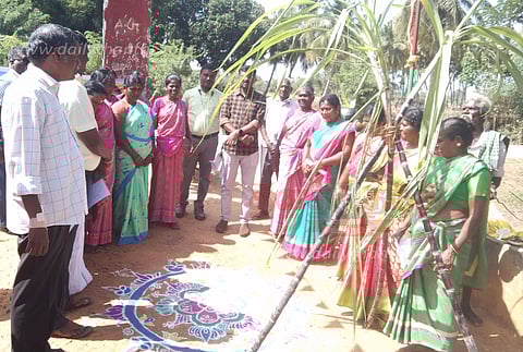 தத்தனூர் ஊராட்சியில் சமத்துவ பொங்கல் கொண்டாட்டம்