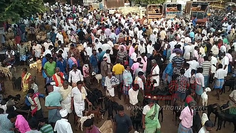 ஆடு, கோழிகள் விற்பனை அதிகரிப்பு