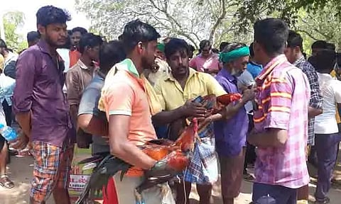 பூலாம்வலசில் சேவல் சண்டைக்கு மாவட்ட நிர்வாகம் அனுமதி மறுப்பு