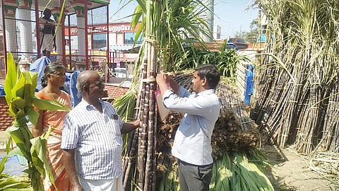 குறைந்த விலைக்கு விற்பனையான கரும்புகள்