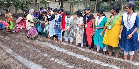 மாணவிகள் விடுதியில் அரசு மானியத்தில் தோட்டம்