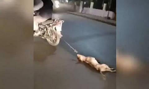 நாயை பைக்கில் கட்டி கொடூரமாக இழுத்துச் சென்ற நபர் - வீடியோ வைரலானதையடுத்து விசாரணைக்கு உத்தரவு