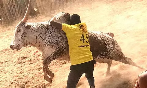 சீறிப்பாய்ந்த காளைகள் முட்டியதில் 34 பேர் காயம்