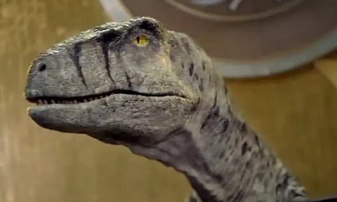 மத்திய பிரதேச மாநிலத்தில்டைனோசர் கூடுகள், முட்டைகள் கண்டுபிடிப்பு- ஆராய்ச்சியாளர்கள் அசத்தல்