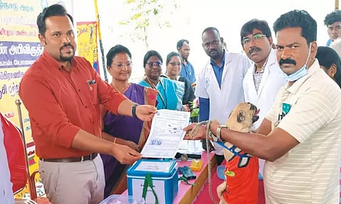 கால்நடை வளர்க்கும் பொதுமக்களுக்கு விழிப்புணர்வு ஏற்படுத்தும் நிகழ்ச்சியில் செங்கல்பட்டு மாவட்ட கலெக்டர் ஆய்வு