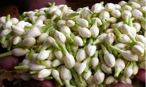 சத்தியமங்கலம் மார்க்கெட்டில் மல்லிகைப்பூ கிலோ ரூ.1,680-க்கு ஏலம்