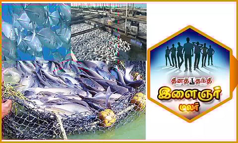மீன் வளர்ப்பிலும் நல்ல எதிர்காலம் இருக்கிறது