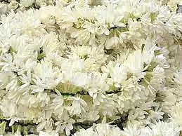 சத்தி மார்க்கெட்டில்முல்லைப்பூ கிலோ ரூ.1,360-க்கு ஏலம்