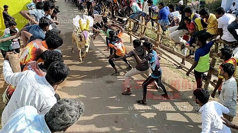 நிம்மியம்பட்டு கிராமத்தில் எருது விடும் விழா