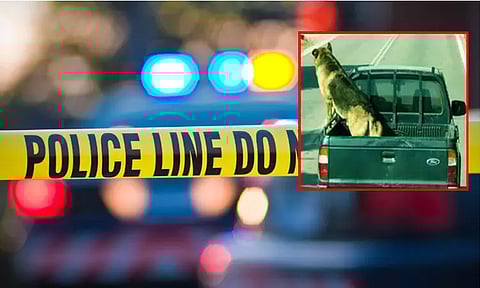  கோப்பு படம்