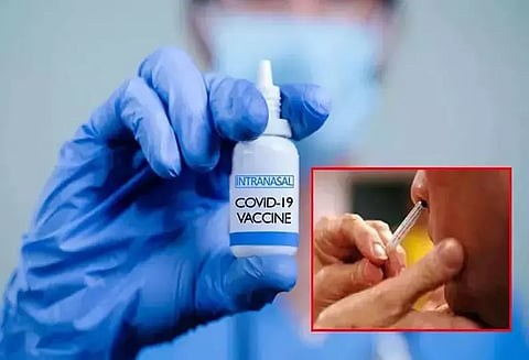 இந்தியாவில் தயாரான உலகின் முதல் நாசி வழி கொரோனா தடுப்பு மருந்து நாளை அறிமுகம்