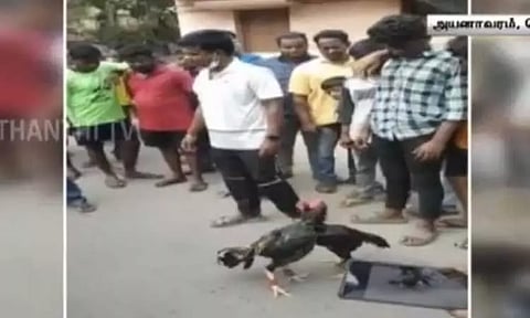 இறுதி ஊர்வலத்தில் சேவல் சண்டை... தடுக்க வந்த போலீஸ் மீது கடும் தாக்குதல்.. சென்னையில் பரபரப்பு