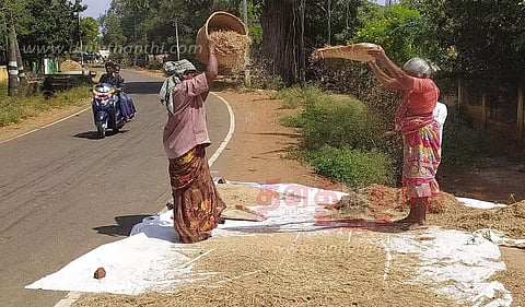 நெல் அறுவடை பணி தீவிரம்-நெல்களமாக சாலையை பயன்படுத்தும் கிராம மக்கள்