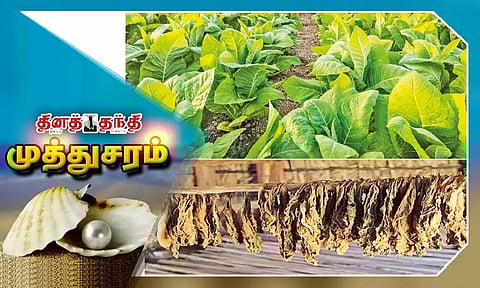 புகைப்பழக்கம்: அன்றும், இன்றும்...!