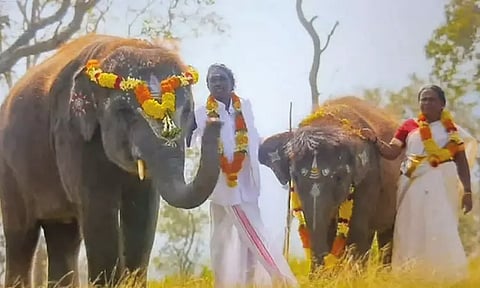 "தி எலிபென்ட் விஸ்பரர்ஸ்" முதுமலை குட்டி யானைகள் நடித்த ஆவணப்படம் - ஆஸ்கார் இறுதிப்பட்டியலில் இடம் பிடித்தது...!