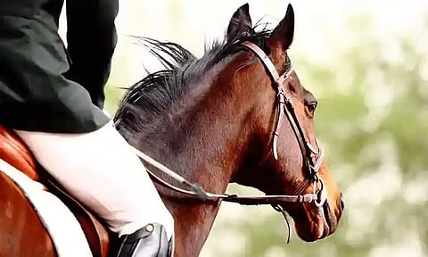 தேனிலவுக்கு சென்ற புதுமாப்பிள்ளை குதிரை சவாரி செய்யும் போது திடீர் உயிரிழப்பு: நடந்தது என்ன...?