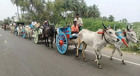 பழனி முருகன் கோவிலில் தரிசனம் செய்ய குவிந்த பக்தர்கள்