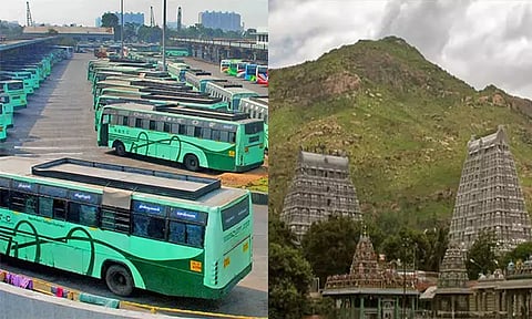 தைப்பூசம், பவுர்ணமியையொட்டி பழனி - திருவண்ணாமலைக்கு சிறப்பு பஸ்கள்