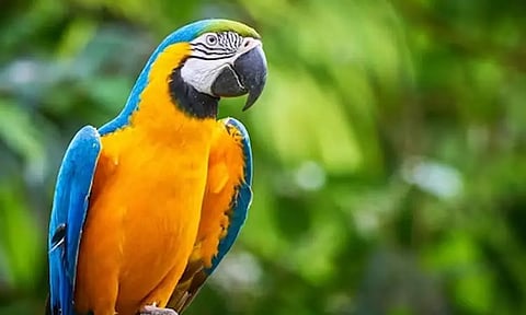 கோப்புப்படம்