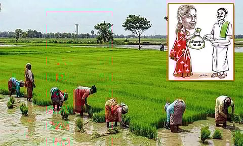 மத்திய பட்ஜெட்: ஒரே ஆண்டில் விவசாயிகளுக்கு ரூ.20 லட்சம் கோடி கடன்