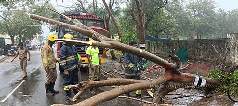 நெல் கொள்முதல் நிறுத்தம்; பள்ளி, கல்லூரிகளுக்கு விடுமுறை