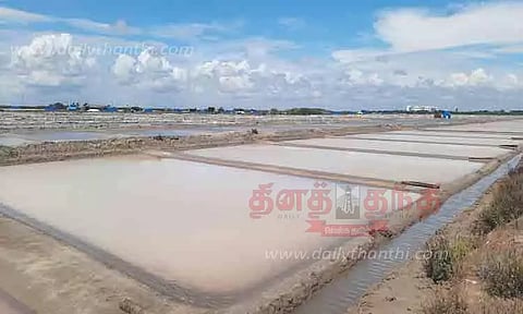 உப்பள பாத்திகளில் தேங்கிய மழை நீர்