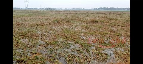 3-வது நாளாக பலத்த மழை