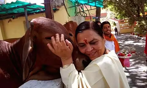 கோப்பு படம் 