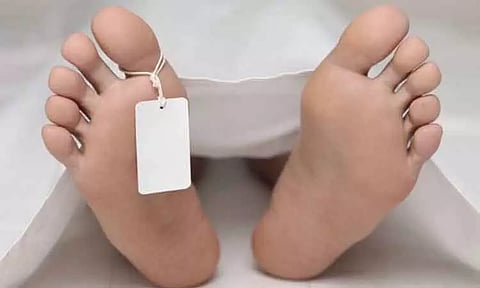 சரக்கு வேன் மீது மொபட் மோதல்; பள்ளி மாணவி சாவு