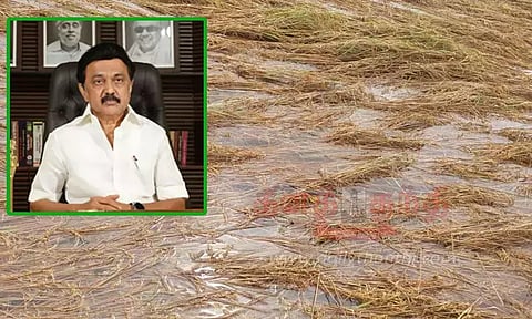 டெல்டா பகுதி மாவட்டங்களில் பயிர் சேதங்களைப் பார்வையிட அமைச்சர் குழு - முதல்-அமைச்சர் மு.க.ஸ்டாலின் அறிவிப்பு