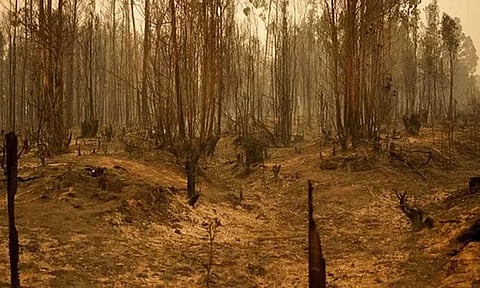 சிலி: காட்டுத்தீயில் சிக்கி பலியானோரின் எண்ணிக்கை 22ஆக உயர்வு