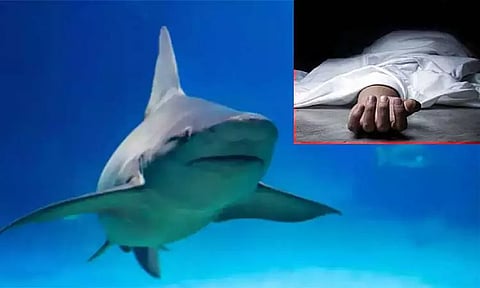 கோப்புப்படம் 