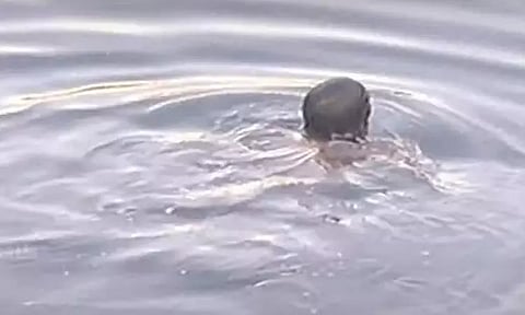 கூவம் ஆற்றில் குதித்து நீச்சல் அடிக்கும் இளைஞர்...! மீட்க போராடும் போலீசார்....!