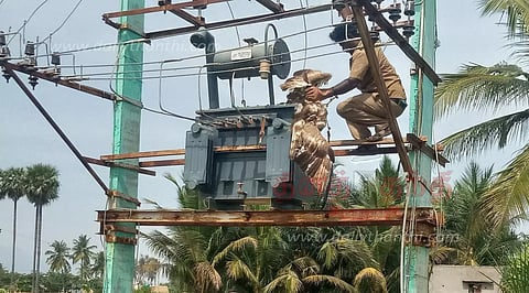 பாம்புக்கு ஆசைப்பட்டு உயிரை பறிகொடுத்த கழுகு